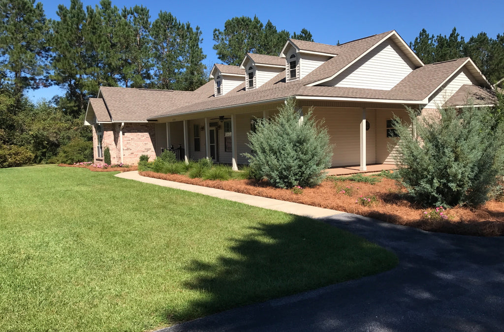 2026 NewPremium Long Needle | Pine Straw Mulch | 300 Sqft