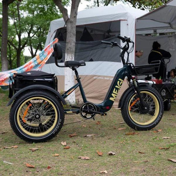 2026 NewSILVERADO 20 48V/14AH 750W Folding Electric Tricycle with Wide Tires, 150 kg (96817362)