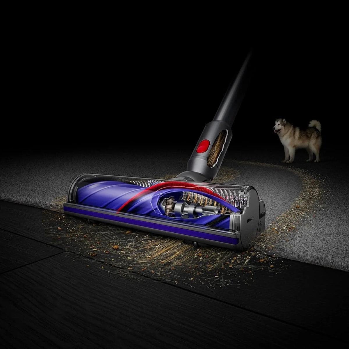 2026 NewDyson V8 cordless vacuum cleaner