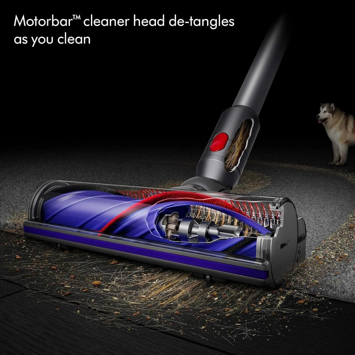 2026 NewDyson V8 cordless vacuum cleaner