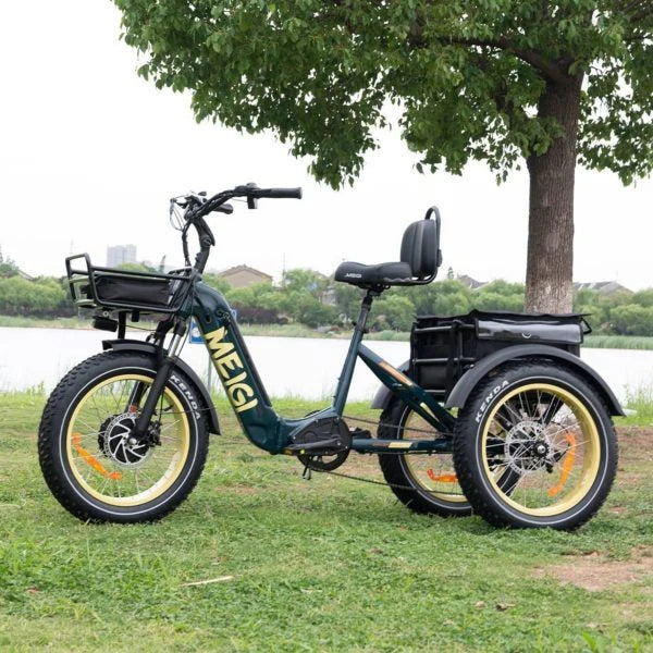 2026 NewSILVERADO 20 48V/14AH 750W Folding Electric Tricycle with Wide Tires, 150 kg (96817362)